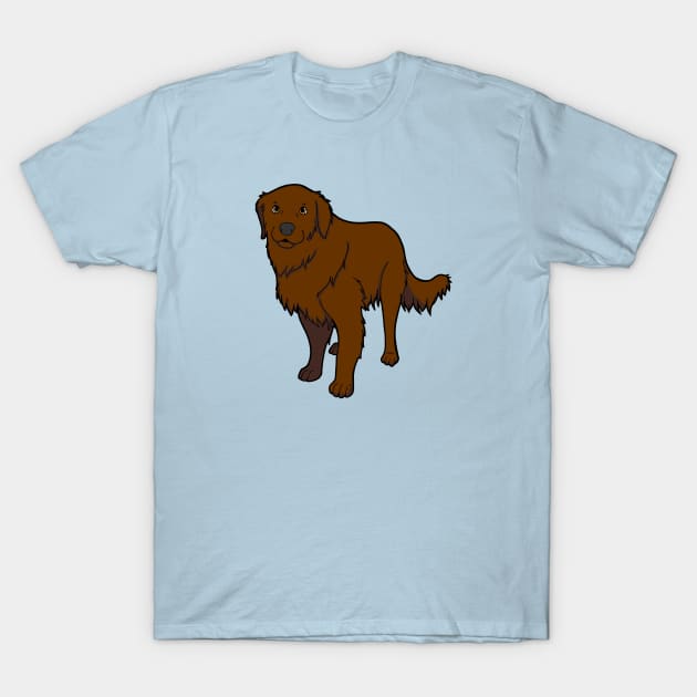 Dark retriever discount